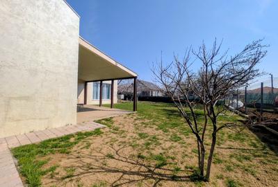 Casa unde copii cresc liberi: Povestea de pe strada Marin Sorescu - 14