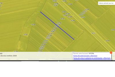Vanzare teren agricol Jud Constanta - 6