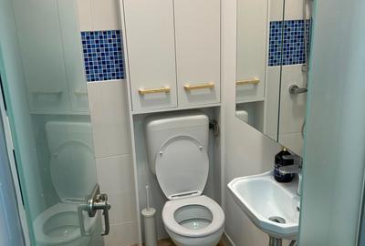Dacia - Eminescu - Apartament 3 camere demisol/2 etaje - renovat-centrala termic - 12