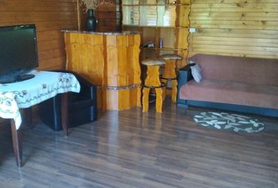 Casă de vacanță în zona subcarpatica - 6