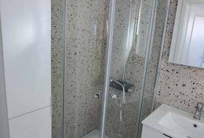 CASA 4 CAMERE CU SUPRAFATA GENEROASA IN  STIL NEOROMANESC - 42