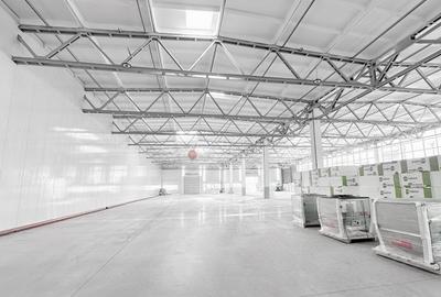 Depozitare - Logistic - Mica productie - 5