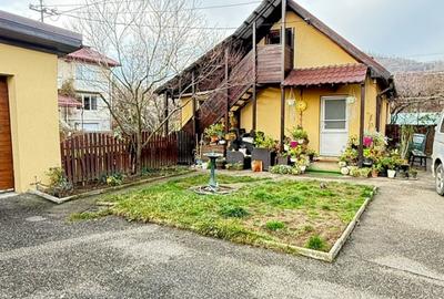 🏡 PROPRIETATE DE EXCEPȚIE – ZONĂ ULTRACENTRALĂ, BAIA MARE - 13