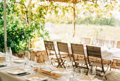 Proprietate istorică , crama +vie DOC + distilerie +loc. evenimente+ 20000 vin - 13
