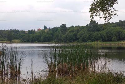 RATE Pensiune Piscina Superba***pe mal Lac Mocearu  70km de Buzau - 70
