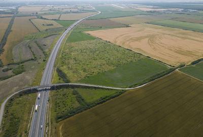 Teren 12 ha la Autostrada A1 cu PUZ aprobat - 6