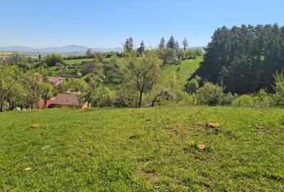 Teren Intravilan pentru Constructii Casa - 5