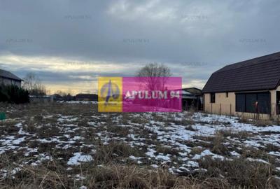 Teren Buda- Ilfov. - 1