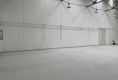 Hala de inchiriat  Ștefanești - DNCB - 5