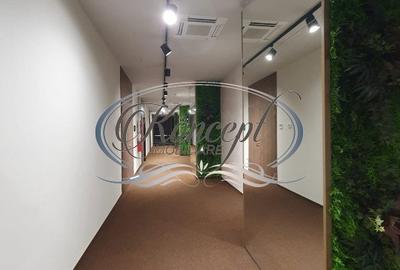 Spatiu birouri clasa A, zona Grigorescu - 17