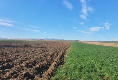 Teren extravilan 4.500- max.18.300mp in comuna Rosia (17 km de Sibiu) - 8