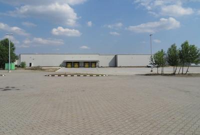 Inchiriere hala in Mega Company Chiajna - 4