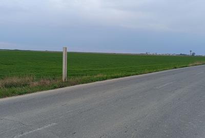 Teren extravilan 5 hectare ( zonă industrială ) Șag - 11