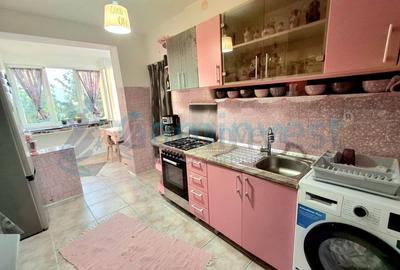 Apartament cu 3 camere la 3 minute de Oradea, in Sanmartin, Bihor, Romania - 4