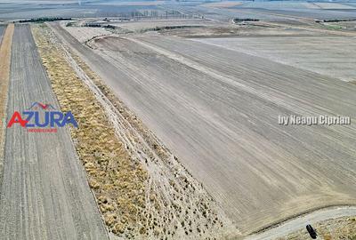 Teren agricol, 5HA, comasat, drum acces, Cateasca - 9