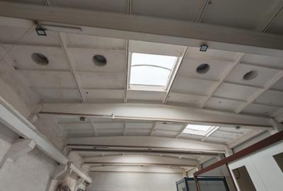 Hale industriale si birouri de inchiriat!! 575-3855 mp - 8