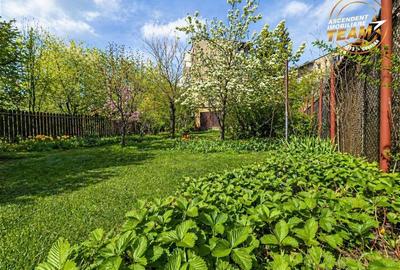 Casa pe strada Lazar Mihaly, Sfantu Gheorghe, cu 645 mp teren - 8