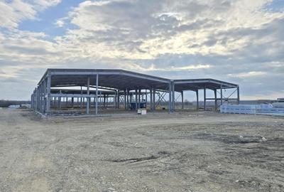 Hale Industriale NOI DN2 Afumati|15 Unități | Acces TIR + Vizibilitate - 3
