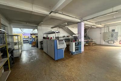 Spațiu industrial, 1600 mp în Turnișor