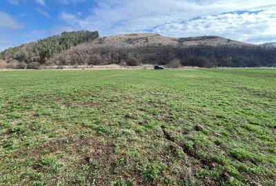 Teren Construcții intravilan de 900 mp, în Luna de Sus