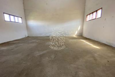 Spatiu Industrial/ Hala/ Depozit- 1200 mp- Peste Podul Budacului - 14