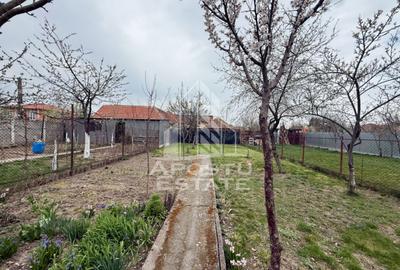 Casa individuala cu 6 camere de vanzare zona Plopi Timisoara - 7