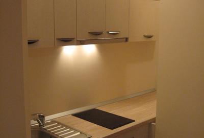 Apartament cu 1 cameră, zona Copou-Stadion - 4