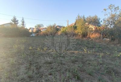 TEREN INTRAVILAN  PLOPU//3000 MP - 4