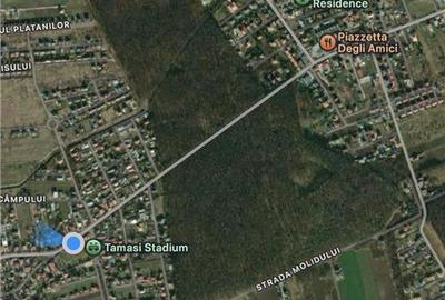 Teren de vanzare langa padure| Tamasi, Corbeanca | 1170mp - 3