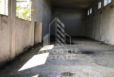 Teren Construcții intravilan de 8000 mp, în Vladimirescu