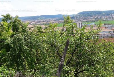 Teren Medias, 1000 mp - 1