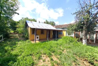 Oportunitate unica de investitie   DN23 - Trafic Intens - 3