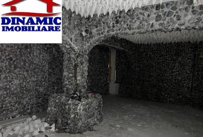 Spațiu comercial, 260 mp în Central