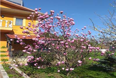 CASA DE FAMILIE in zona rezidentiala ultracentrala Onesti DE VANZARE - 1