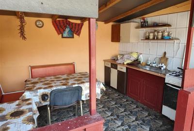 Proprietate spatioasa de vanzare in Gaesti, Dambovita - ideala pentru locuit sau - 17