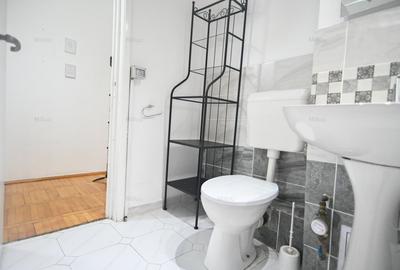 2 camere – Lipovei (langa Iulius Mall) - 14