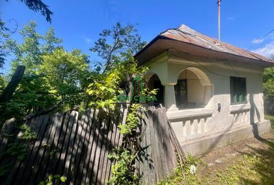 Teren intravilan de vânzare/Ocnele Mari/8.300 mp - 6