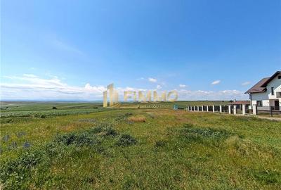 Teren Construcții extravilan de 800 mp, în Moara Nica
