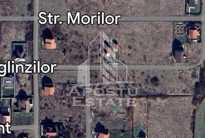 Teren 617 mp, de vanzare,  zona de case noi, Sacalaz. - 2