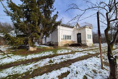 Moșia cu casa în vârf de deal, Scorțeni - Prahova, comision 0% - 7