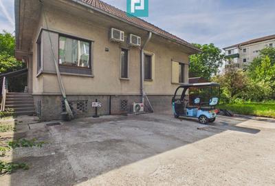 Oportunitate de investiție în Calea Lipovei - 35