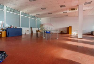 COMISION 0% - Spațiu industrial de 11,077.85 mp de vanzare Cluj - 28
