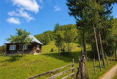 Teren la poalele padurii,Buzaiel,Vama Buzaului,DJ,constructie +utilitati,Brasov - 2