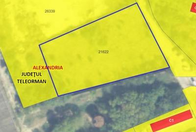 4000 mp Alexandria intravilan pretabil Hala,Salon,parcare - 2