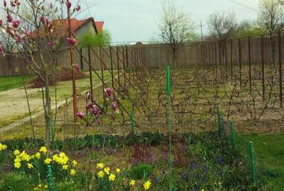 Ciopani vila 5 camere teren 4000 mp - 6