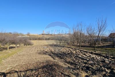 Casă / Vilă , Salcea, Suceava - 13