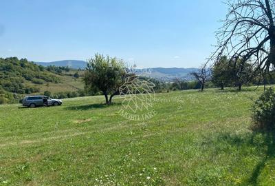 Teren 11.000 mp-ideal cabana/ferma-Unirea-Valea Slatinitei - 4