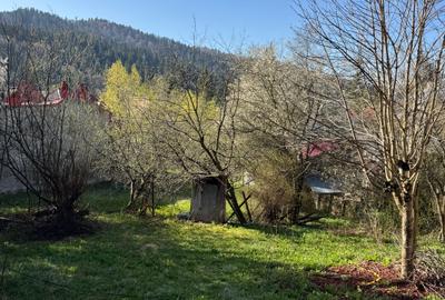 Teren Predeal Central - 1