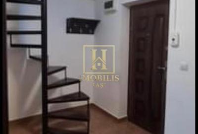 Apartament 1 camera Dec + mansarda 50 mp Nicolina Lidl 380 euro - 6