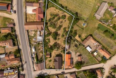 FILM! Casa personalizabila +2.700mp teren,pomi fructiferi,langa Sfantu Gheorghe: - 16